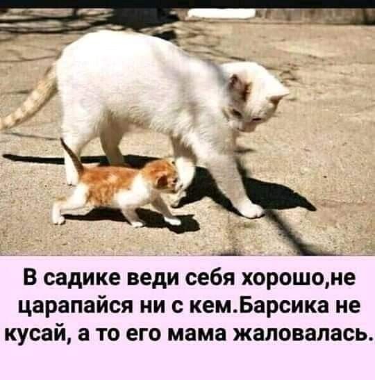 В садике веди себя хорошо, не царапайся ни с кем. Барсика не кусай, а то его мама жаловалась.