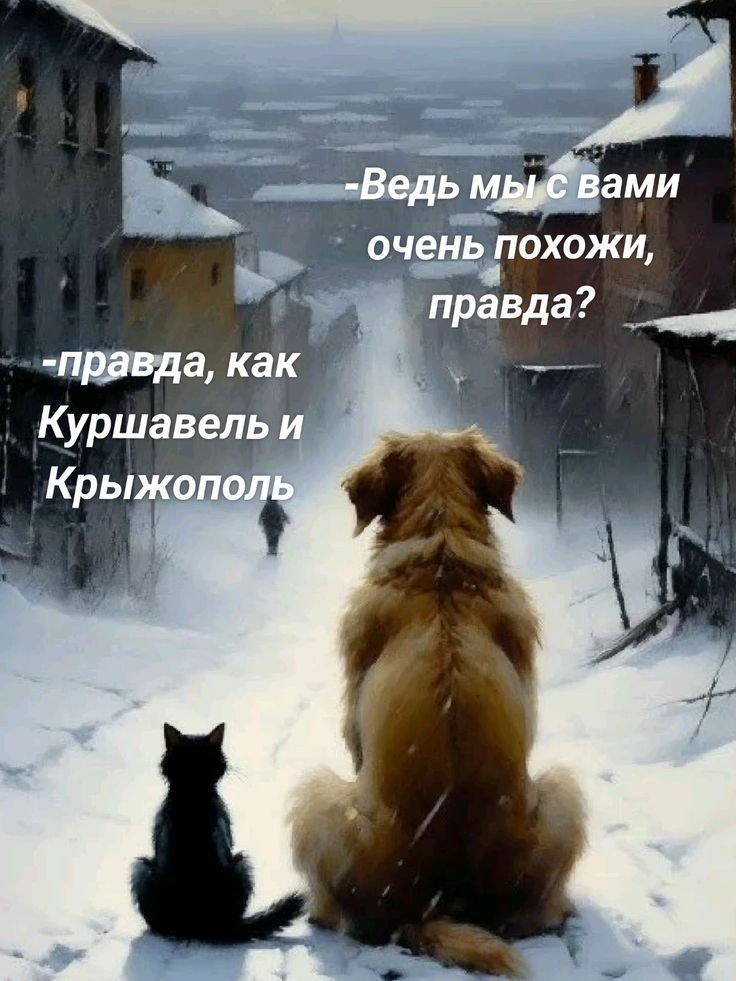 - Ведь мы с вами очень похожи, правда? - правда, как Куршавель и Крыжополь