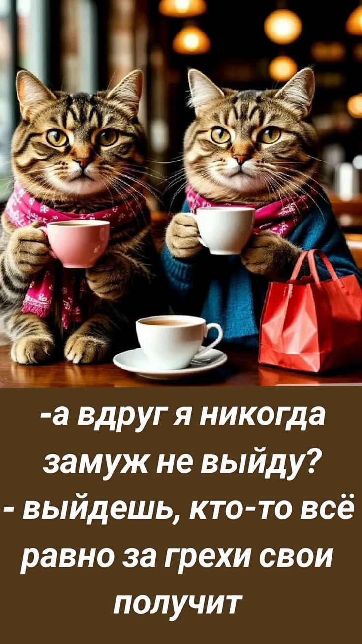-а вдруг я никогда замуж не выйду?
- выйдешь, кто-то всё равно за грехи свои получит