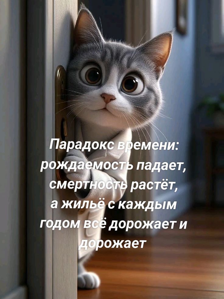 Парадокс времени: рождаемость падает, смертность растёт, а жильё с каждым годом всё дорожает и дорожает