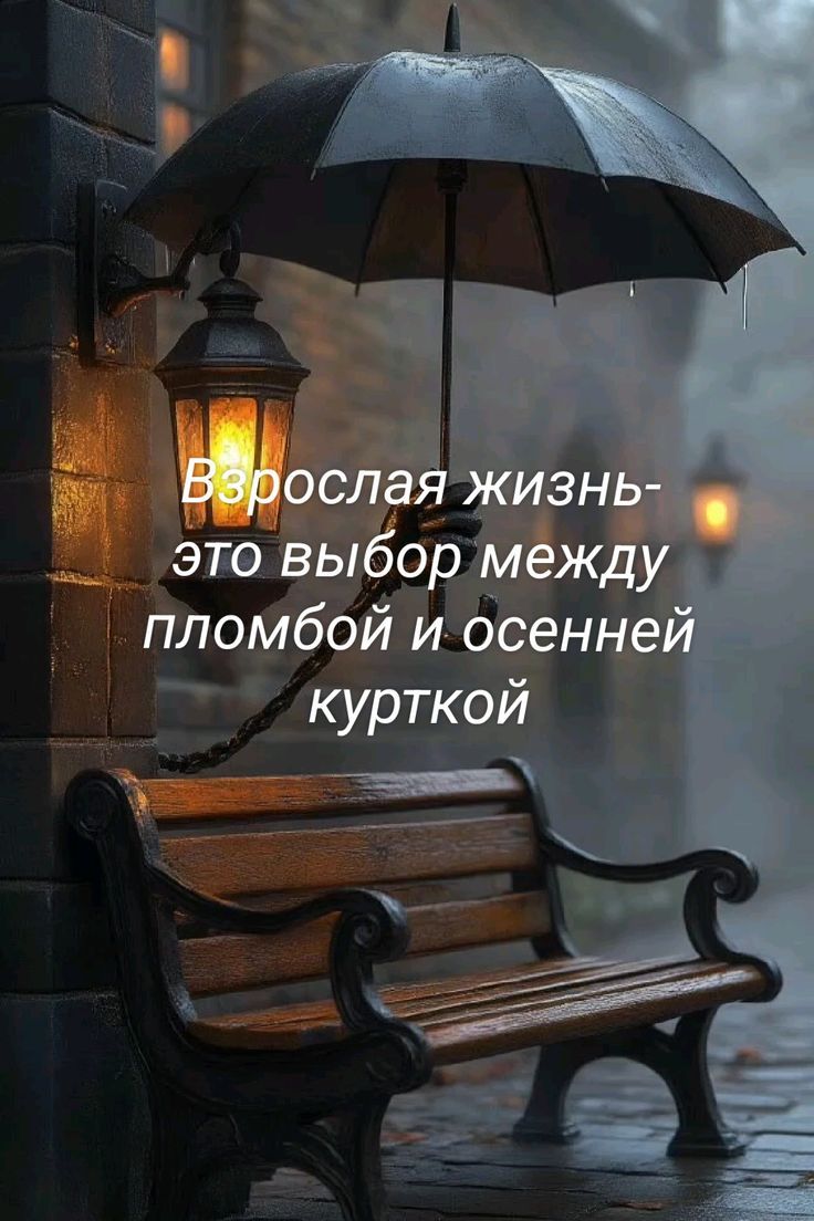 Взрослая жизнь- это выбор между пломббой и осенней курткой