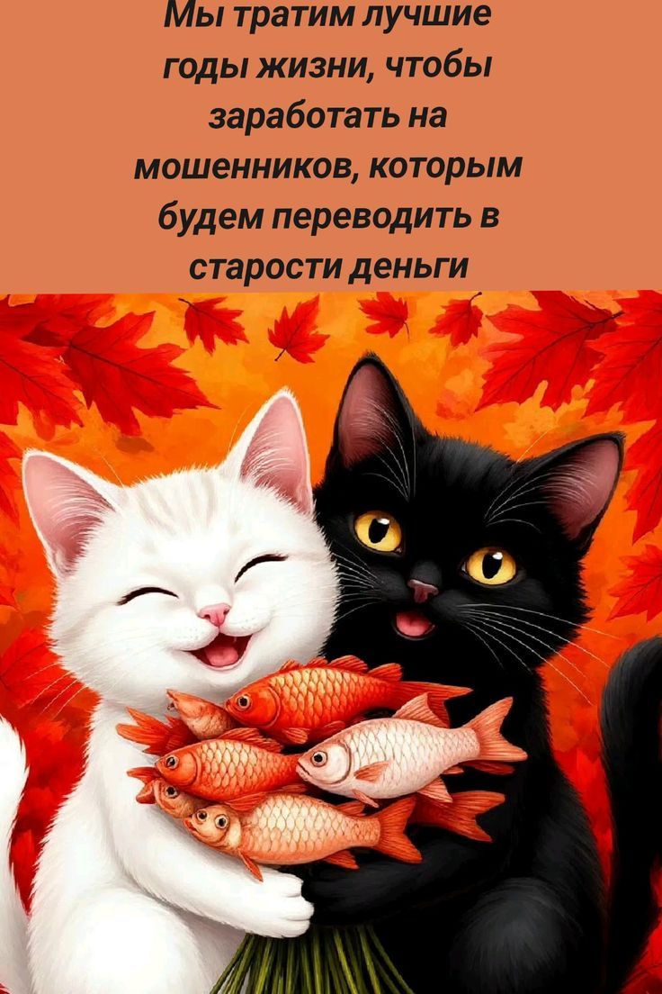 Мы тратим лучшие годы жизни, чтобы заработать на мошенников, которым будем переводить в старости деньги