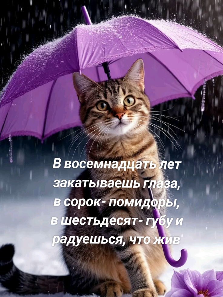 В восемнадцать лет закашиваешь глаза, в сорок - помидоры, в шестидесят - губу и радуешься, что жив.