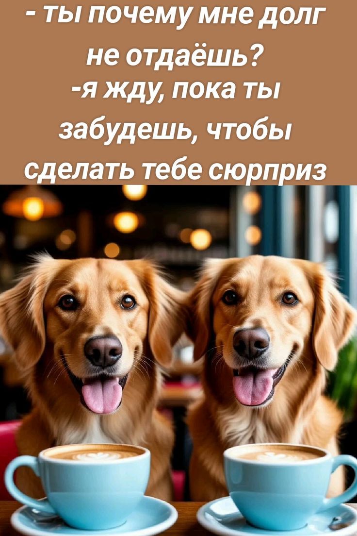 - ты почему мне долг не отдаёшь?
- я жду, пока ты забудешь, чтобы сделать тебе сюрприз