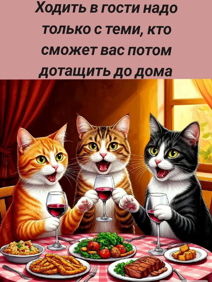 Ходить в гости надо только с теми, кто сможет вас потом дотасить до дома
