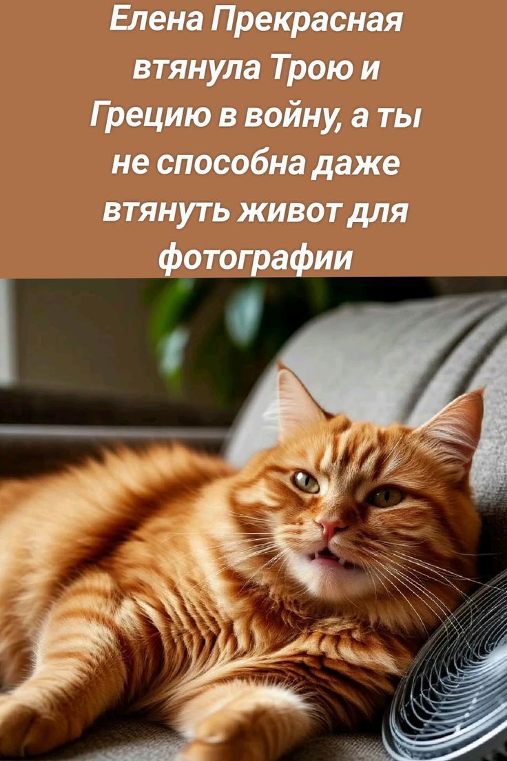 Елена Прекрасная втянула Трою и Грецию в войну, а ты не способна даже втянуть живот для фотографии