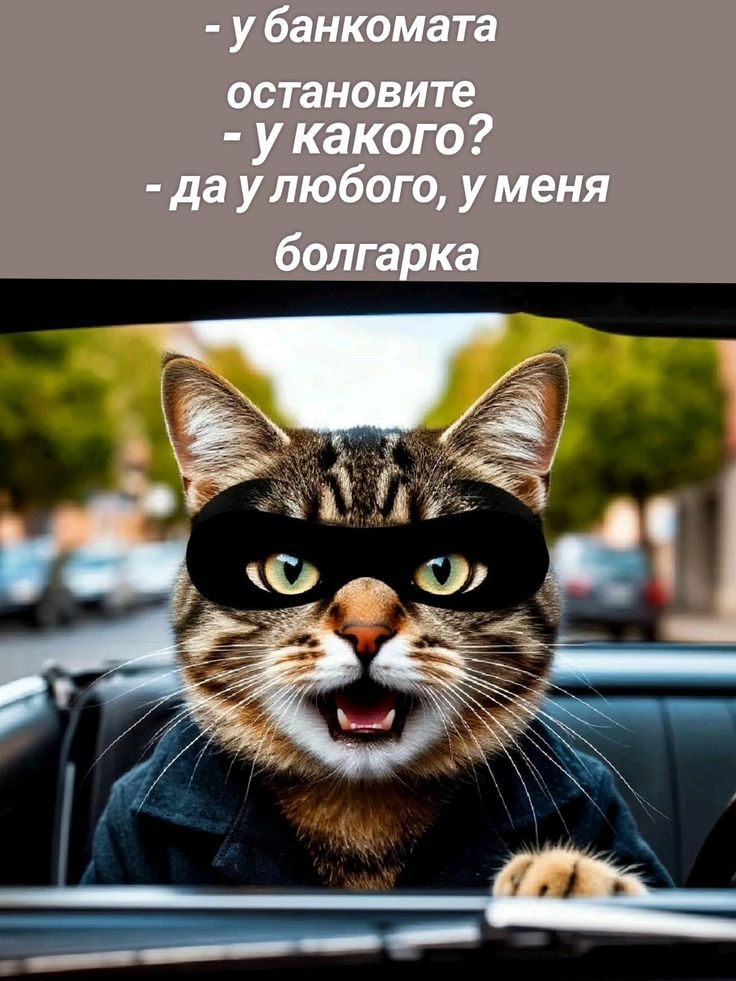 - у банкомата
- у какого?
- да у любого, у меня
болгарка