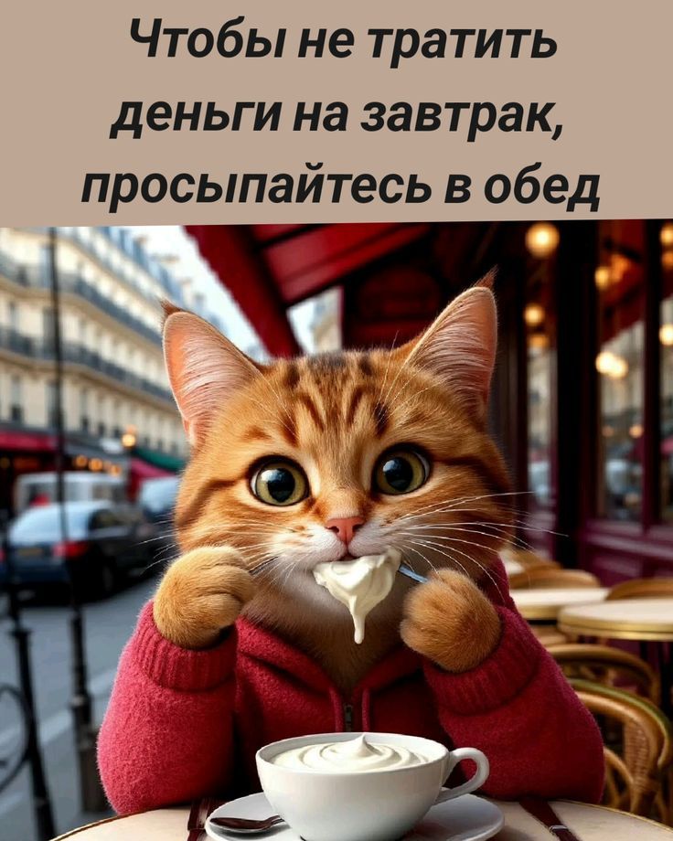 Чтобы не тратить деньги на завтрак, просыпайтесь в обед