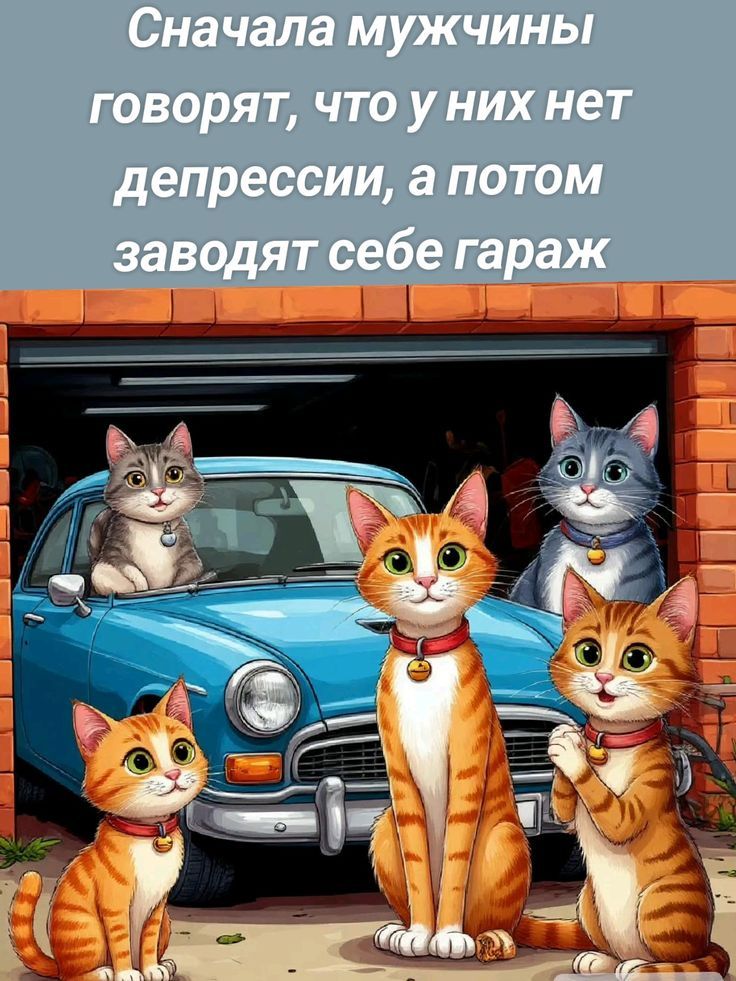 Сначала мужчины говорят, что у них нет депрессии, а потом заводят себе гараж