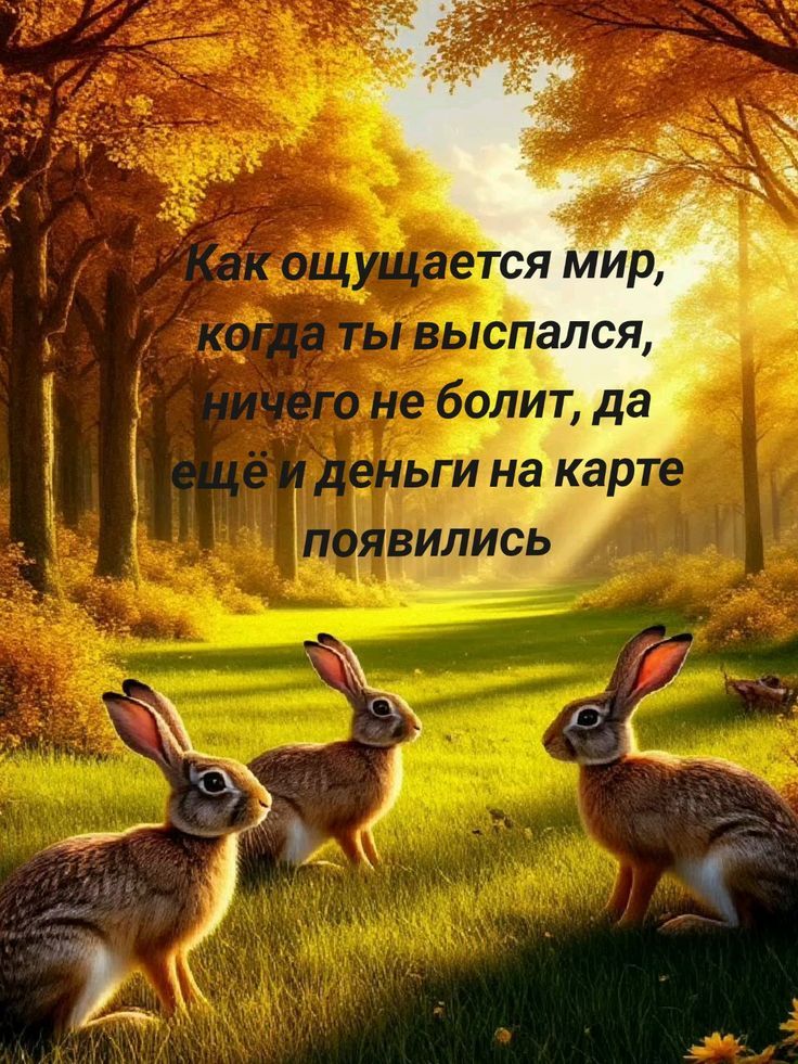Как ощущается мир, когда ты выспался, ничего не болит, да ещё и деньги на карте появились