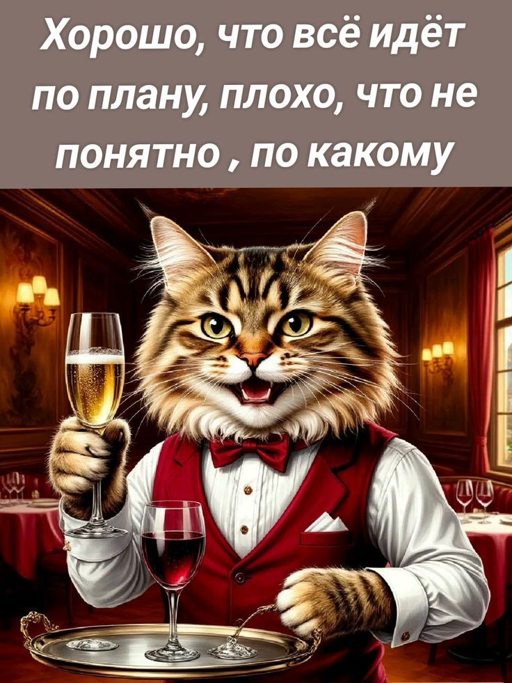 Хорошо, что всё идёт по плану, плохо, что не понятно, по какому
