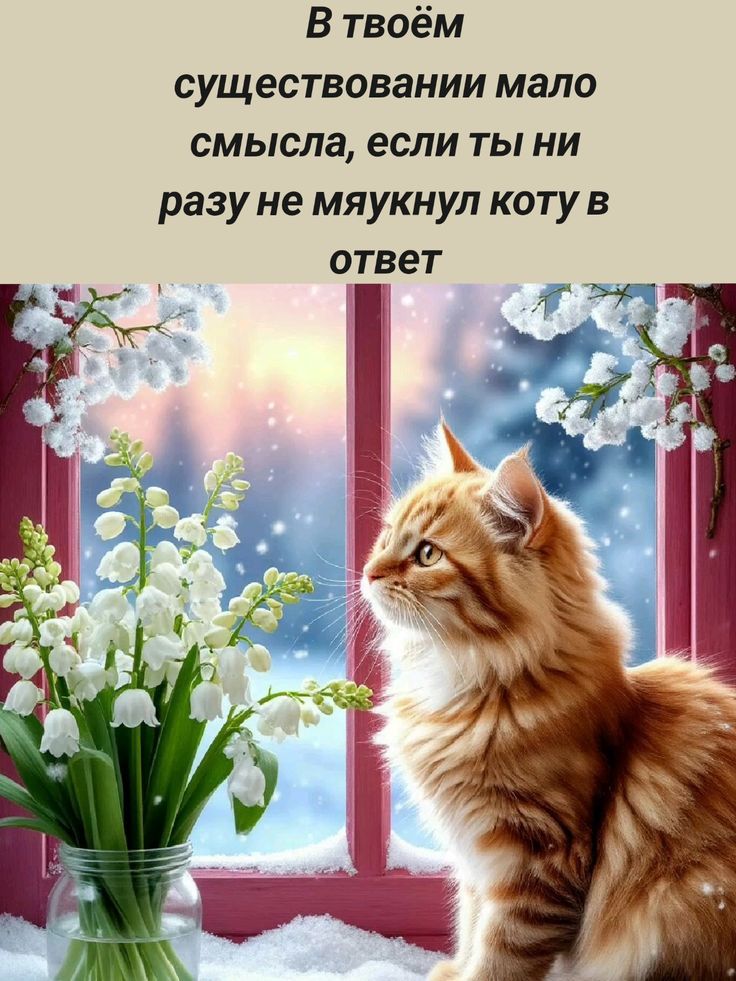 В твоём существовании мало смысла, если ты ни разу не мяукнул коту в ответ