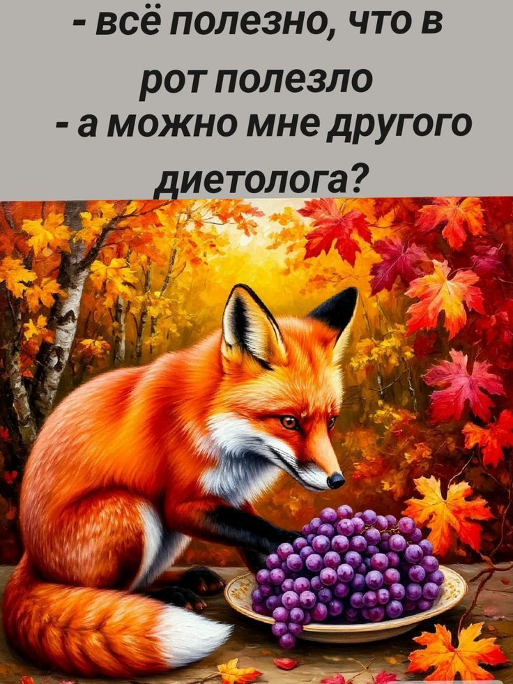 - всё полезно, что в рот полезло
- а можно мне другого диетолога?