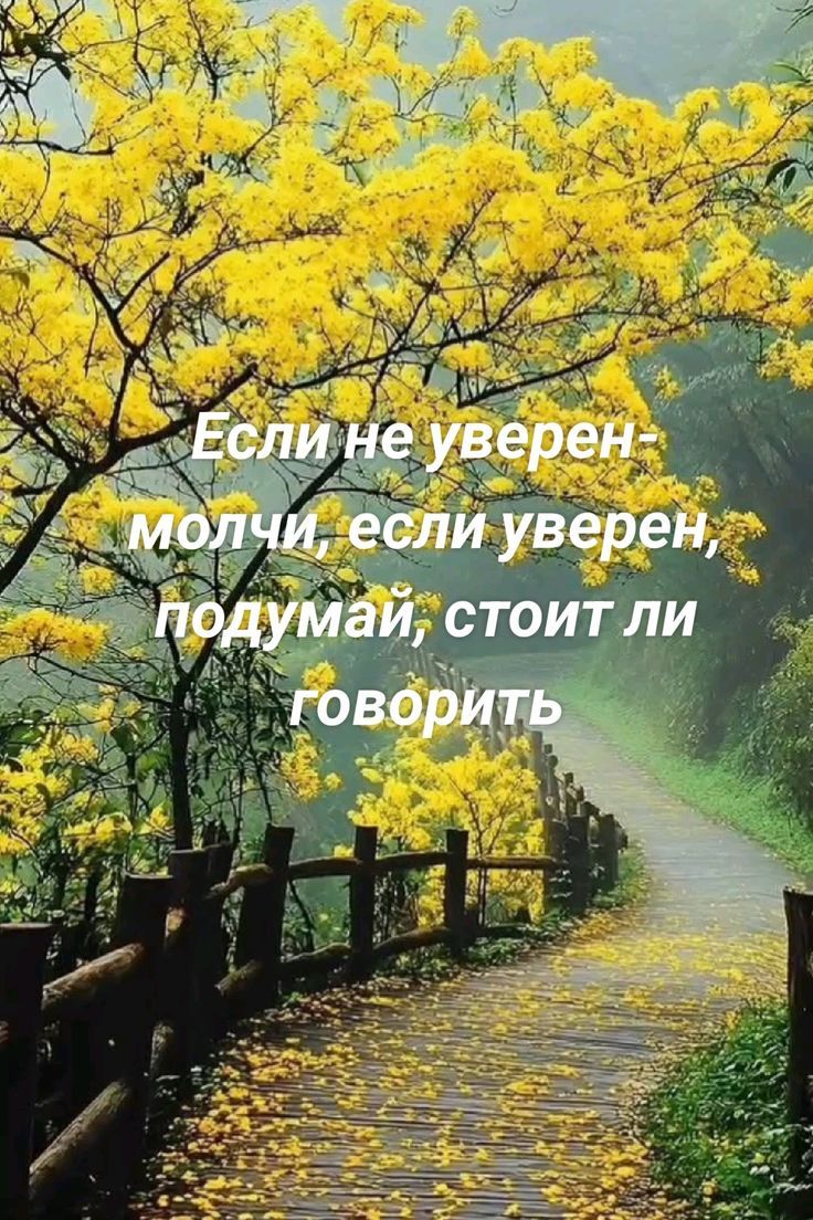 Если не уверен - молчи, если уверен, подумай, стоит ли говорить