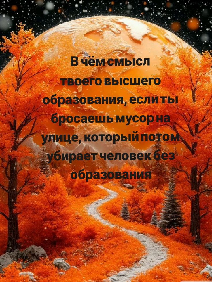 В чём смысл твоего высшего образования, если ты бросаешь мусор на улице, который потом убирает человек без образования