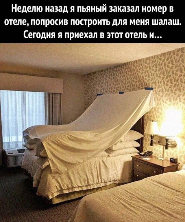 Неделю назад я пьяный заказал номер в отеле, попросив построить для меня шалаш. Сегодня я приехал в этот отель и...