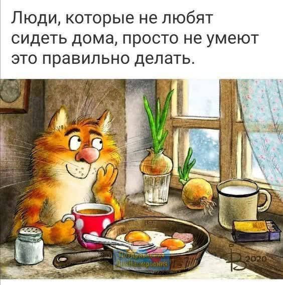 Люди которые не любят сидеть дома просто не умеют это правильно делать