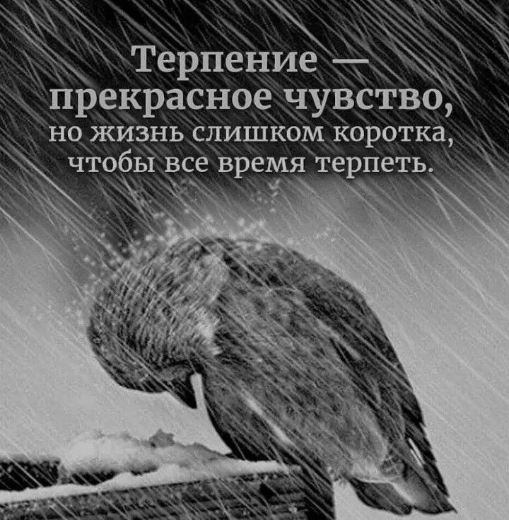 терпение _ прекрасное чувство НО ЖИЗНЬ СЛИШКОМ коротка 06Ы вре время терпеть _