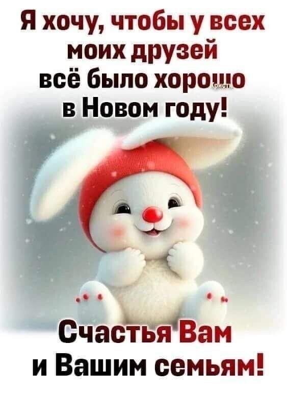 Я хочу чтобы у всех моих друзей всё было хорошо в Новом году А СчасЁБяВам и Вашим семьям