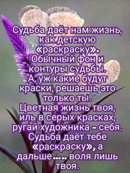 ая жизнь твоя Ёерых красках руітаи художника себя Судьба даёт тебе раскраску а дальше воля лишь твоя