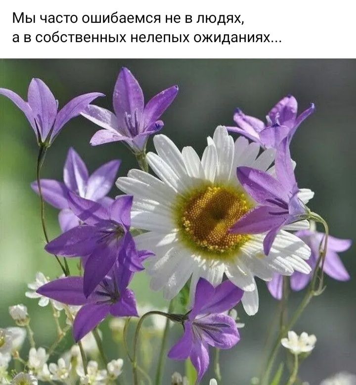 Мы часто ошибается не в людях а в собственных нелепых ожиданиях