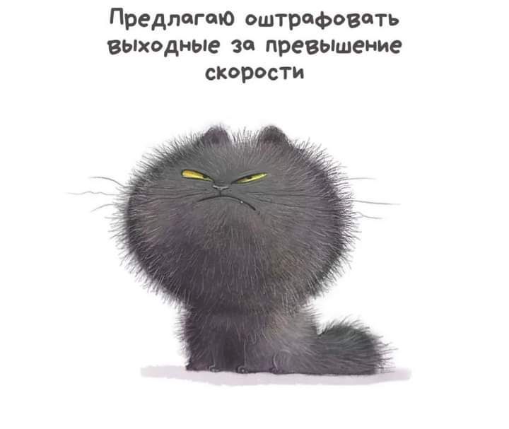Предлагаю оштрафовать выходные зп превьпшеиие скорости