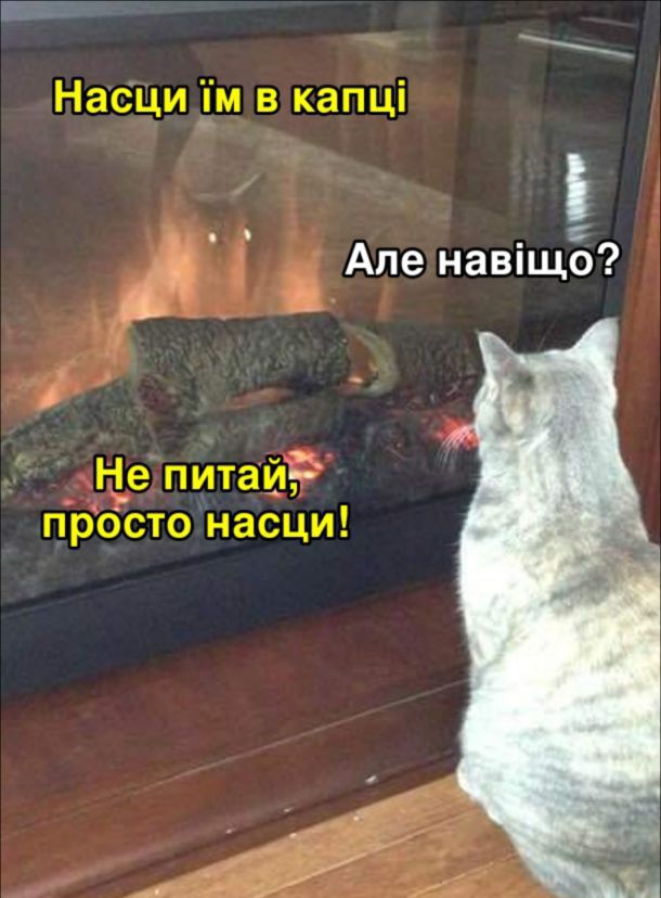 Насци _пм в капці ленавпщо а Н_е питай просто насци
