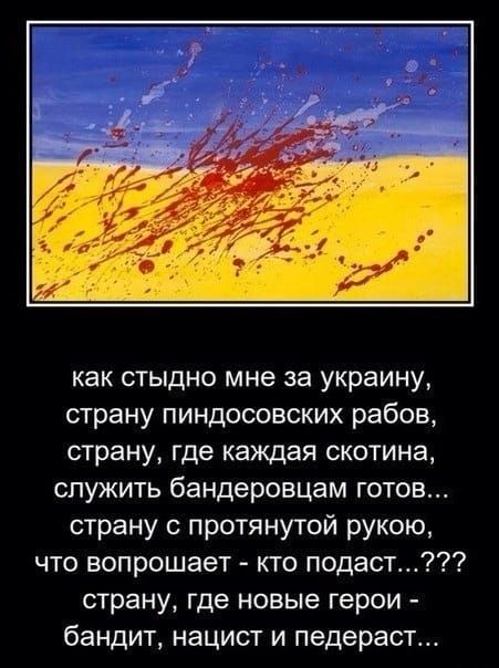 как стыдно мне за украину страну пиндосовских рабов страну где каждая скотина служить бандеровцам готов страну с протянутой рукою что вопрошает кто подаст страну где новые герои бандит нацист и педераст