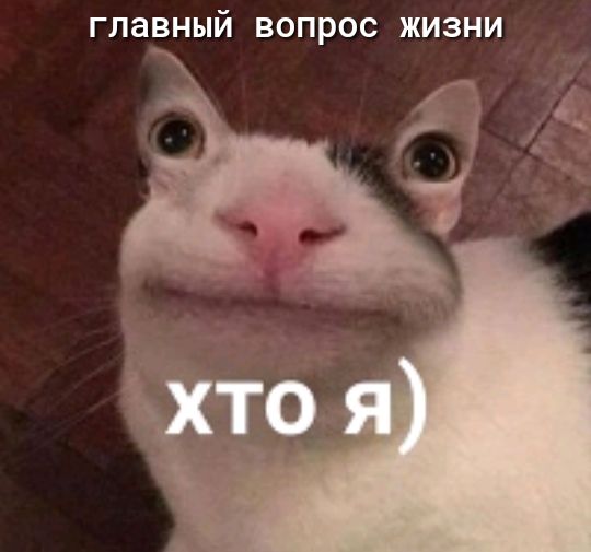 ГЛЗВНЫЙ ВОПРОС ЖИЗНИ