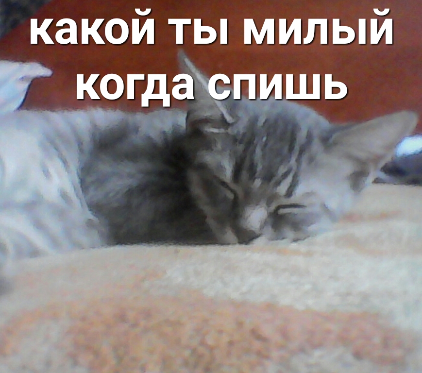 какой ты милый