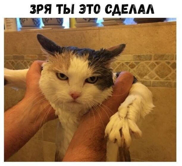 ЗРЯ ТЫ ЭТО САЕААА