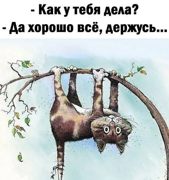 Как у тебя деда Аа хорошо всё держусь