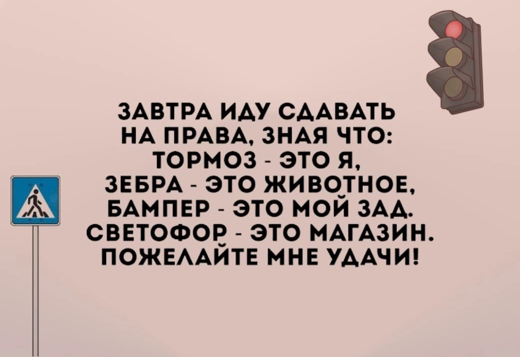 ЗАВТРА ИАУ СААБАТЬ НА ПРАВА ЗНАЯ ЧТО ТОРМОЗ ЭТО Я ЗЕБРА ЭТО ЖИВОТНОЕ БАМПЕР ЭТО МОИ ЗАА СВЕТОФОЕ ЭТО МАГАЗИН ПОЖЕААИТЕ МНЕ УААЧИ