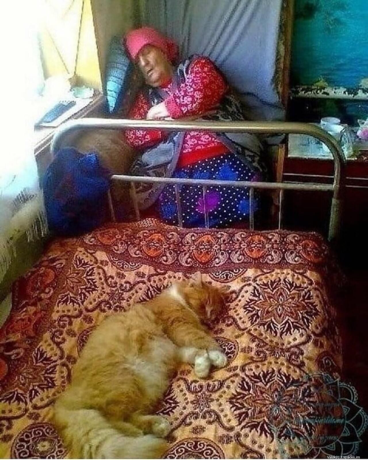 чад 1 заезд