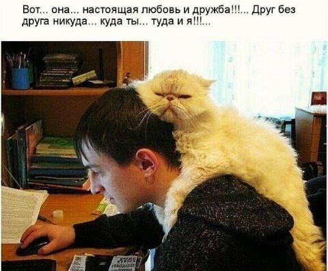 Ват ина настоящая пюбивьидружба Друг без друга никуда куда ты туда и и