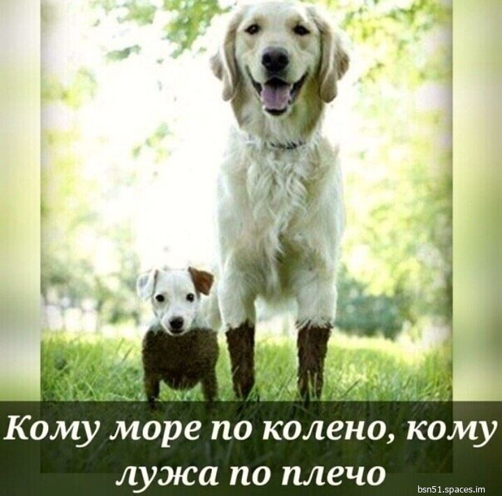 Кому море по колено кому лужа по плечо
