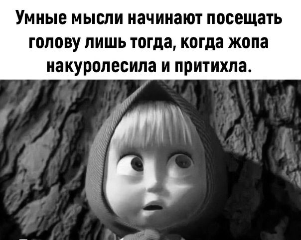 Умные МЫСЛИ начинают посещать голову ЛИШЬ тогда когда жопа