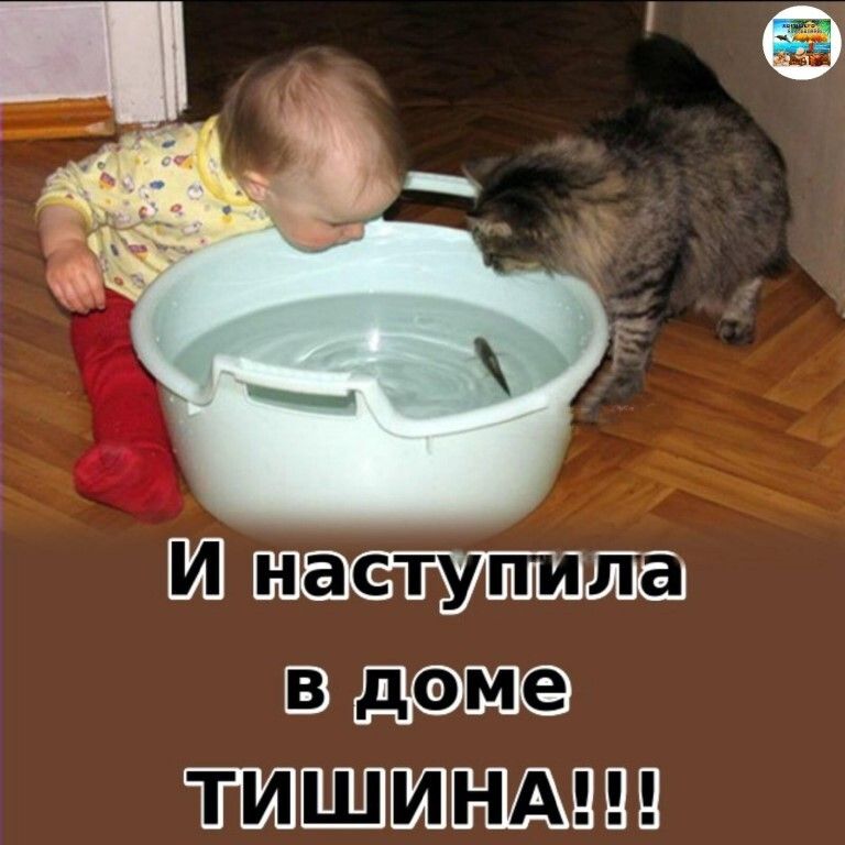 Ю тдип