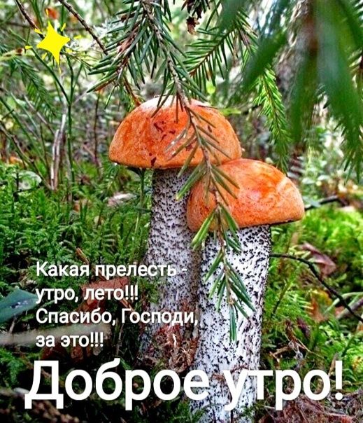 пасибо давай