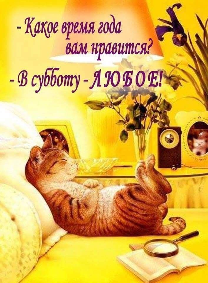 ев емя года Ёшнрмитш Всубботу ЛЮ