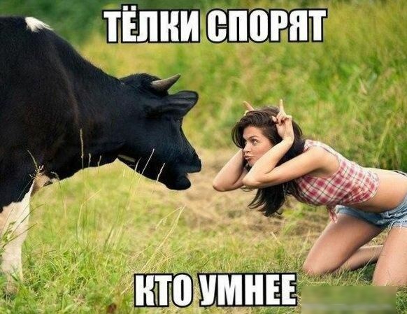 тёлниюаповпт