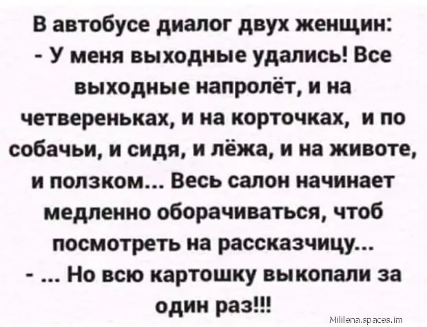 В автобусе диалог двух женщин У меня выходные удались Все выходные напролёт и на четвереньках и на корточках и по собачьи и видя и лёжа и на животе и ползком Весь салон начинает медленно оборачиваться чтоб посмотреть на расснзчицу На всю картошку выкопали за один раз