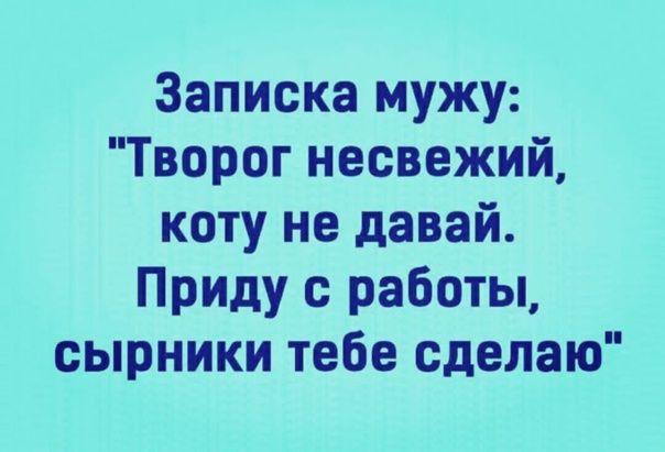 Записка мужу Творог несвежий коту не давай Приду с работы сырники тебе сделаю