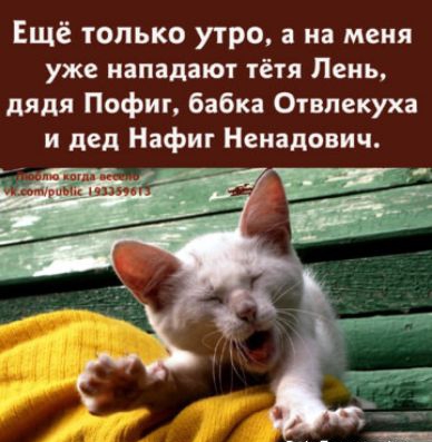 Ещё только утро а на меня уже нападают тётя Пень дядя Пофиг бабка Отвлекуха и дед Нафиг Ненадович _ и _ ты шик