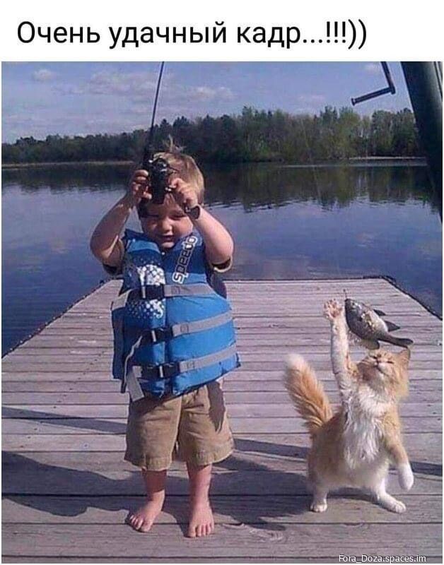 Очень удачный кадр