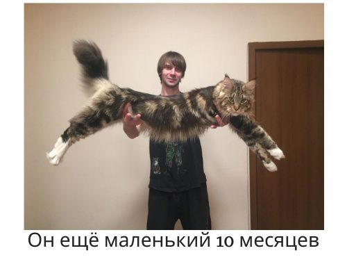 ОН еще МаЛеНЬКИИ 10 Месяцев