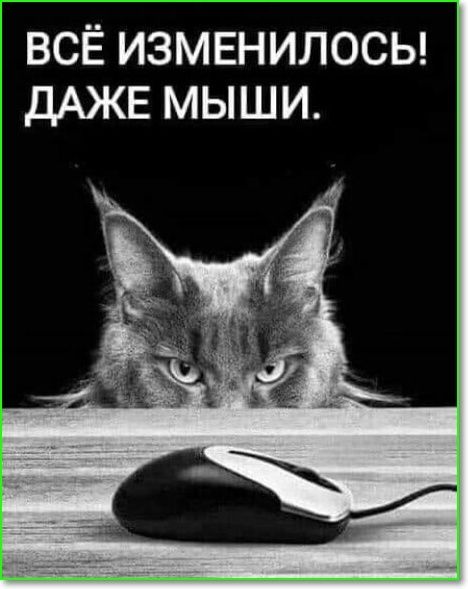 ВСЁ ИЗМЕНИЛОСЬ ДАЖЕ МЫШИ