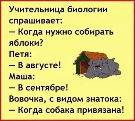 Учительница биологии спрашивает Когда нужно собирать яблоки Петя В августе Маша В сентябре Вовочка с видом знатока Когда собака привязана