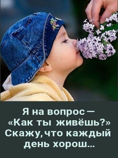 Я на вопрос Как ты живёшь Скажучто каждый день хорош