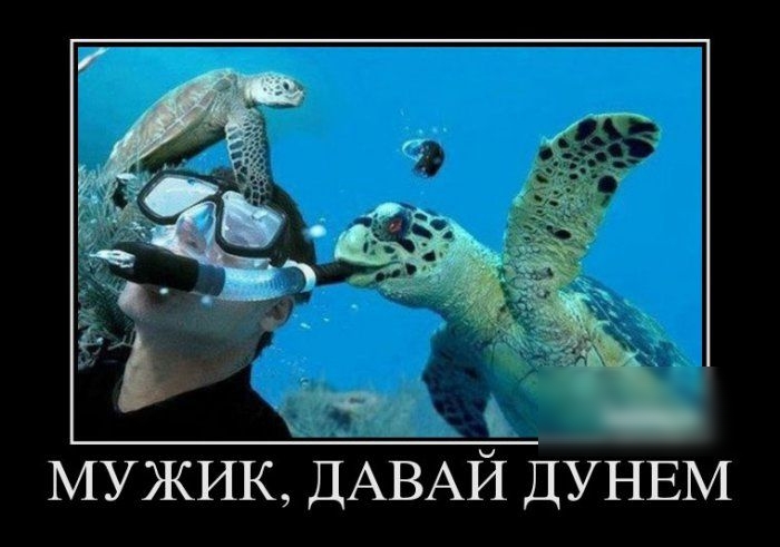 МУЖИК ДАВАЙ ДУНЕМ